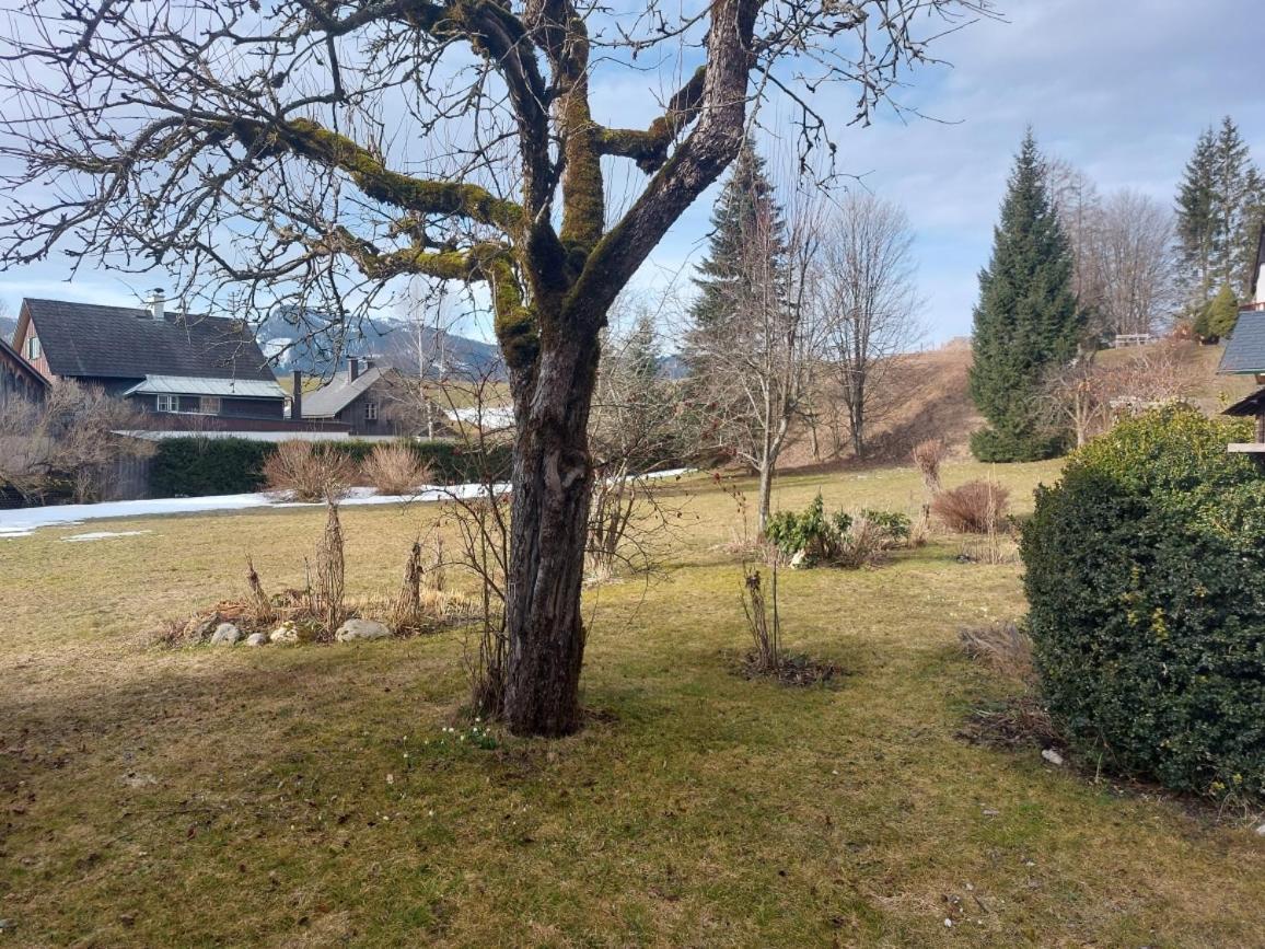 Ferienwohnung Salzafeld Bad Mitterndorf Exterior foto